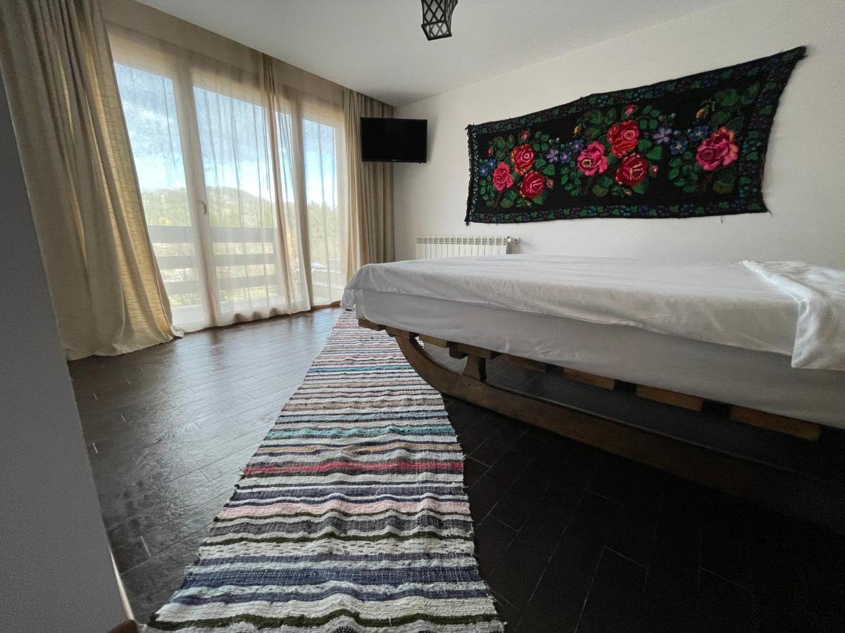 Vila Delut Borsa  Kültér fotó